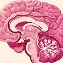 Nine lifestyle changes can reduce dementia risk, study says - BBC News